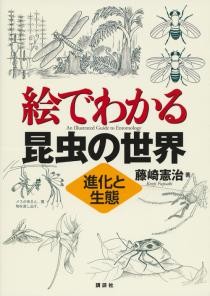 絵でわかる昆虫の世界　進化と生態