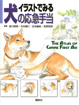 イラストでみる犬の応急手当  