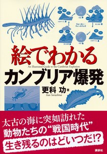 絵でわかるカンブリア爆発